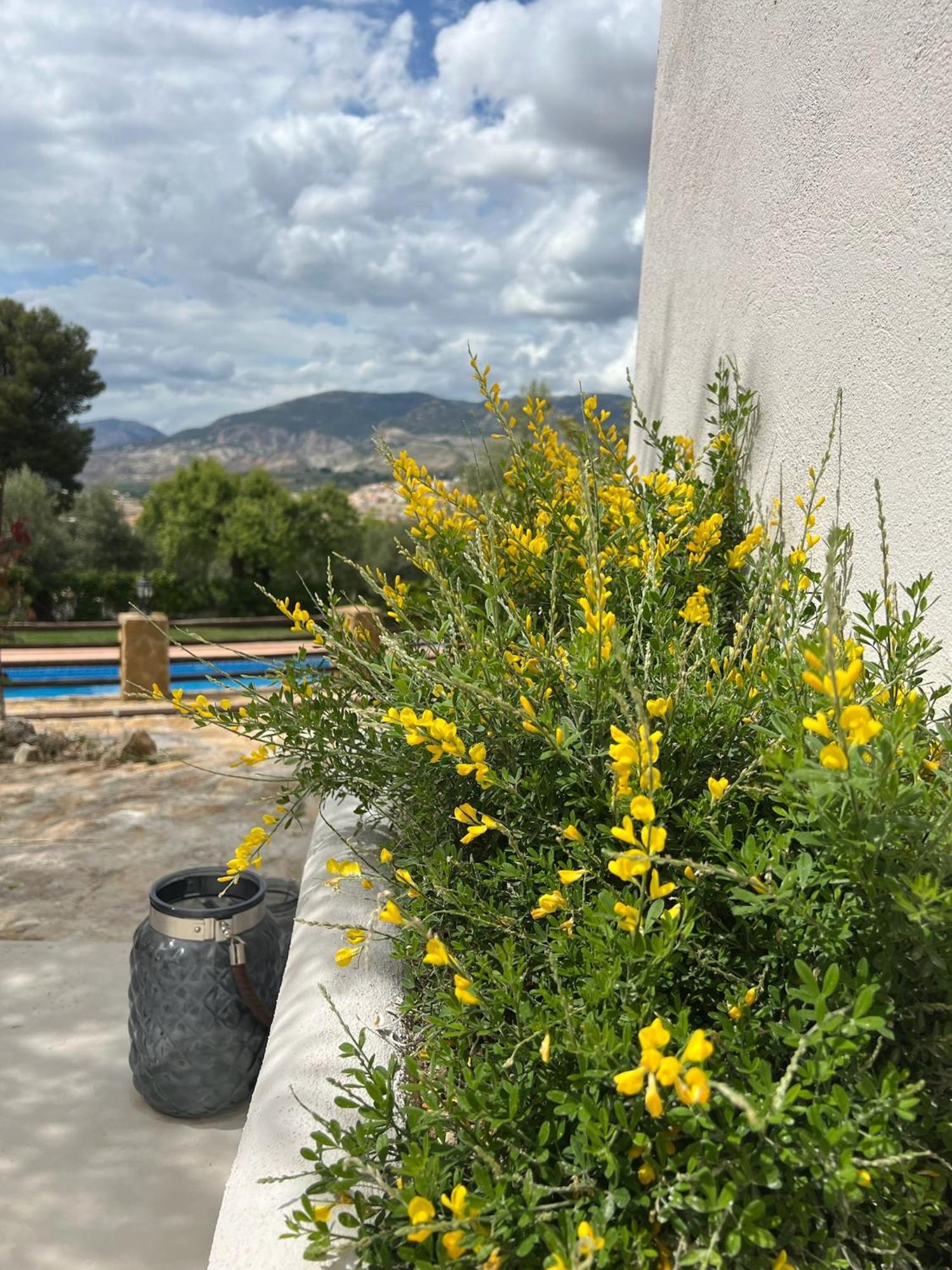 Lenta Suites Pozo Alcón Esterno foto