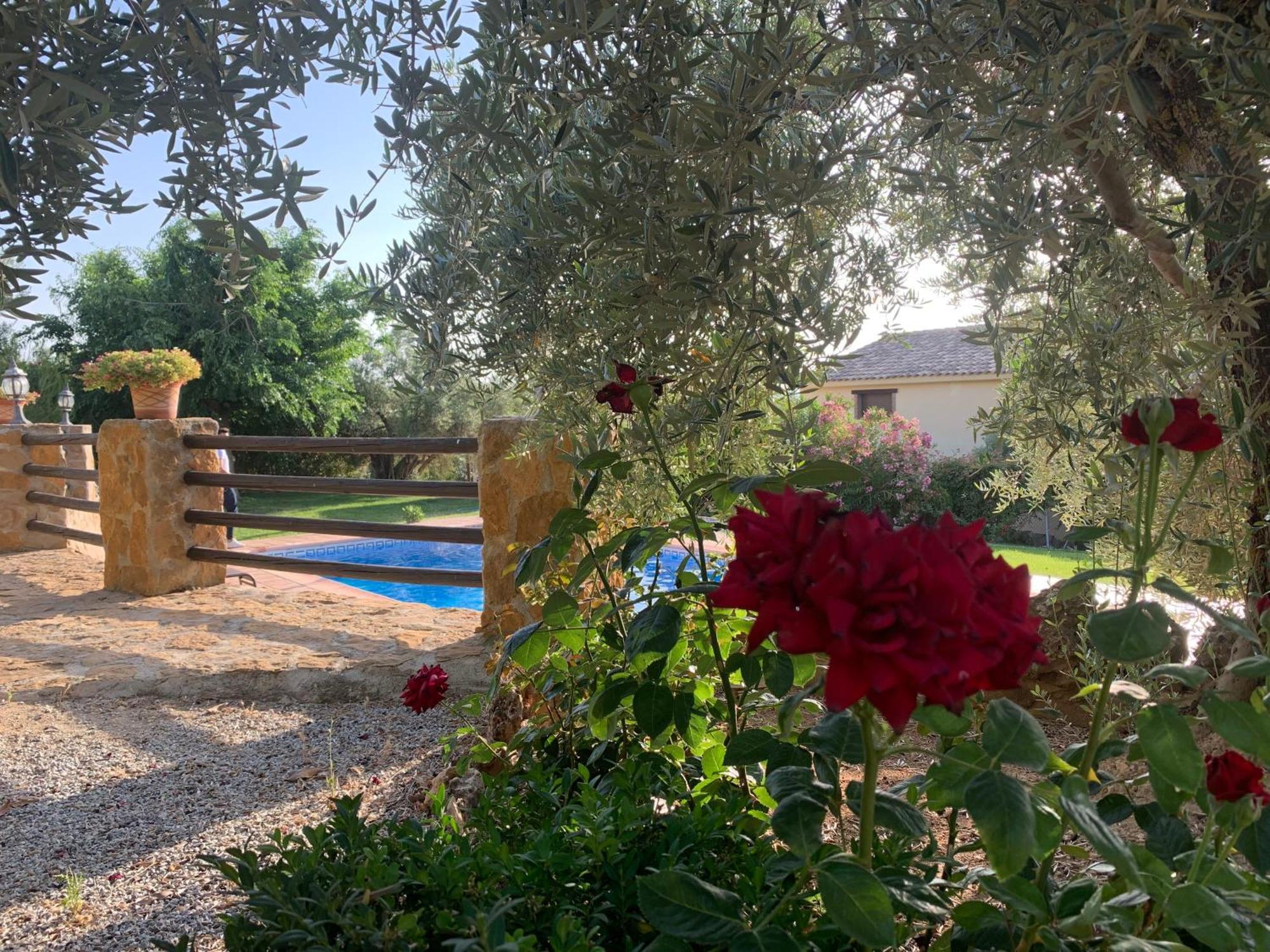 Lenta Suites Pozo Alcón Esterno foto